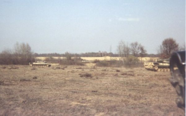 leopard.jpg (27574 byte)