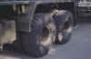 a05.jpg (38831 byte)
