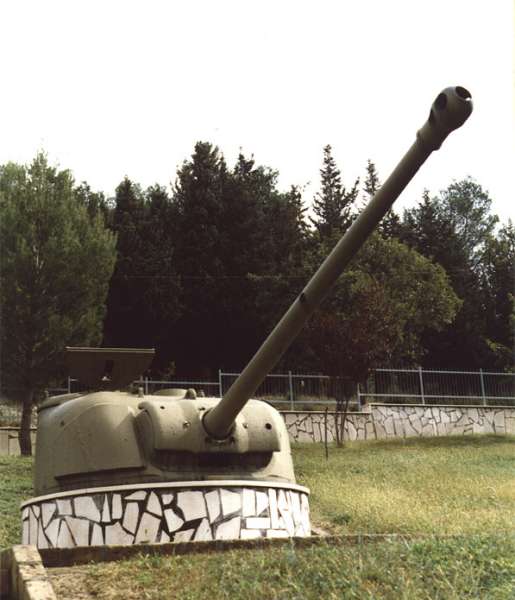 21_firefly_ml_02.jpg (36680 byte)