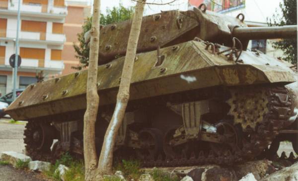 8_m10_ca_02.jpg (32550 byte)