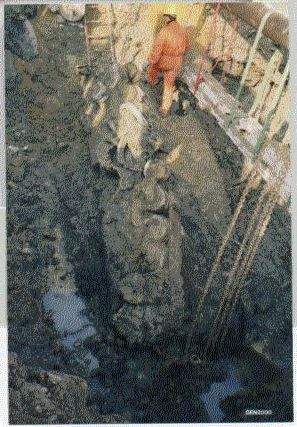 rimini_12.jpg (46113 byte)