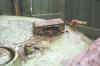 16.jpg (45030 byte)