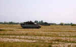 ariete01.jpg (27896 byte)