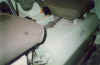 a074.jpg (39116 byte)